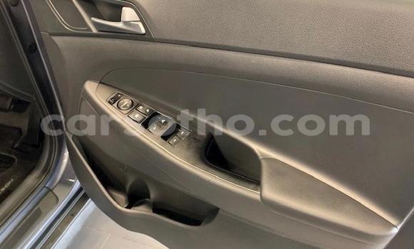 Acheter Occasion Voiture Hyundai Tucson Beige à Maseru, Maseru Acheter Occasion Voiture Hyundai Tucson Beige à Maseru, Maseru