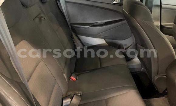 Acheter Occasion Voiture Hyundai Tucson Beige à Maseru, Maseru Acheter Occasion Voiture Hyundai Tucson Beige à Maseru, Maseru