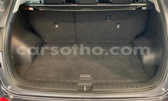 Acheter Occasion Voiture Hyundai Tucson Beige à Maseru, Maseru Acheter Occasion Voiture Hyundai Tucson Beige à Maseru, Maseru