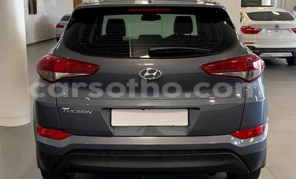 Acheter Occasion Voiture Hyundai Tucson Beige à Maseru, Maseru Acheter Occasion Voiture Hyundai Tucson Beige à Maseru, Maseru