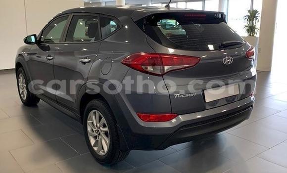 Acheter Occasion Voiture Hyundai Tucson Beige à Maseru, Maseru Acheter Occasion Voiture Hyundai Tucson Beige à Maseru, Maseru