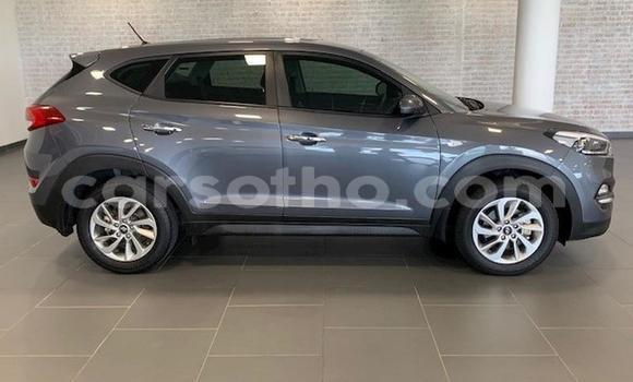 Acheter Occasion Voiture Hyundai Tucson Beige à Maseru, Maseru Acheter Occasion Voiture Hyundai Tucson Beige à Maseru, Maseru