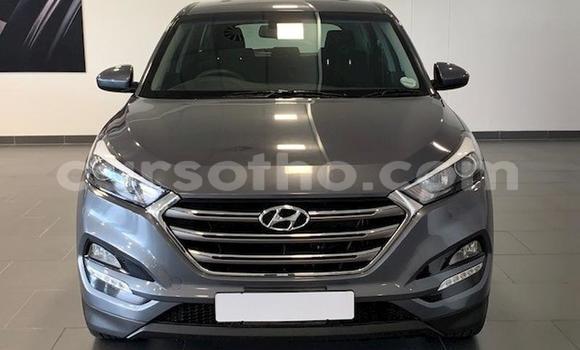 Acheter Occasion Voiture Hyundai Tucson Beige à Maseru, Maseru Acheter Occasion Voiture Hyundai Tucson Beige à Maseru, Maseru