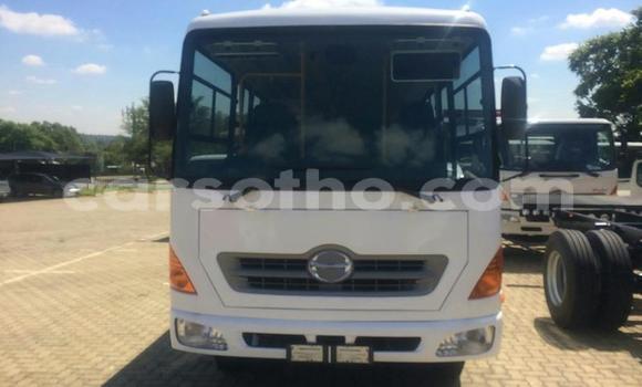 Buy Used Hino 300 Series White Truck in Maseru in Maseru Buy Used Hino 300 Series White Truck in Maseru in Maseru