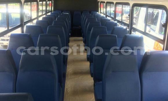 Buy Used Hino 300 Series White Truck in Maseru in Maseru Buy Used Hino 300 Series White Truck in Maseru in Maseru