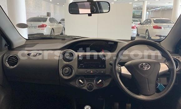 اشتري مستعمل Toyota Etios Silver سيارة في Maseru في Maseru اشتري مستعمل Toyota Etios Silver سيارة في Maseru في Maseru