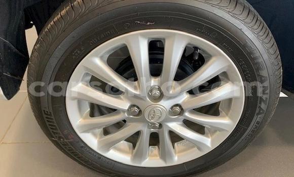 اشتري مستعمل Toyota Etios Silver سيارة في Maseru في Maseru اشتري مستعمل Toyota Etios Silver سيارة في Maseru في Maseru