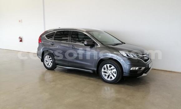 Sayi Na hannu Honda CR–V Silver Mota in Maseru a Maseru Sayi Na hannu Honda CR–V Silver Mota in Maseru a Maseru