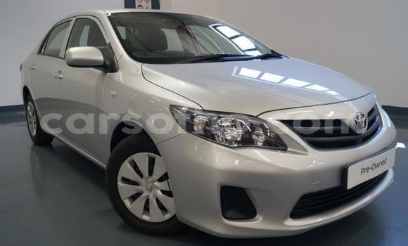 Acheter Occasion Voiture Toyota Corolla Gris à Maseru, Maseru Acheter Occasion Voiture Toyota Corolla Gris à Maseru, Maseru