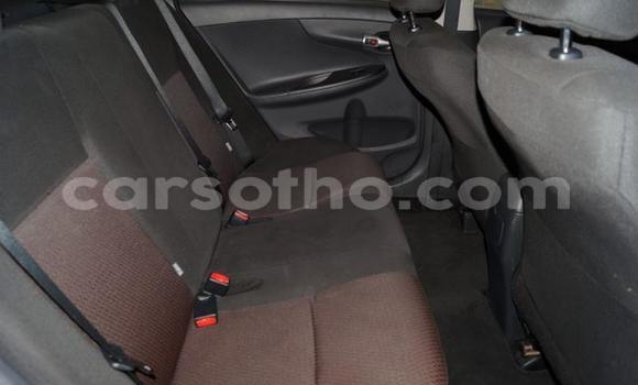 Acheter Occasion Voiture Toyota Corolla Gris à Maseru, Maseru Acheter Occasion Voiture Toyota Corolla Gris à Maseru, Maseru