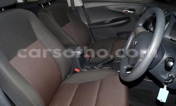 Acheter Occasion Voiture Toyota Corolla Gris à Maseru, Maseru Acheter Occasion Voiture Toyota Corolla Gris à Maseru, Maseru