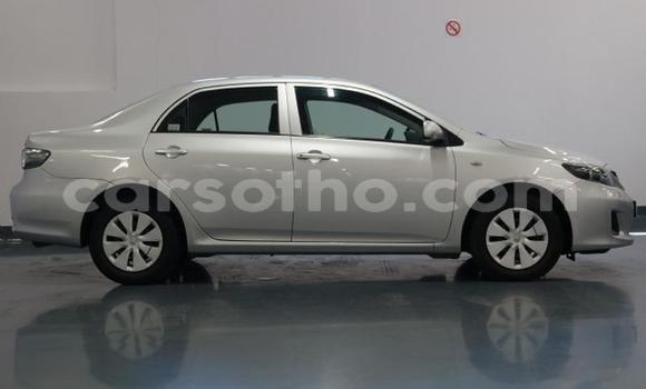 Acheter Occasion Voiture Toyota Corolla Gris à Maseru, Maseru Acheter Occasion Voiture Toyota Corolla Gris à Maseru, Maseru