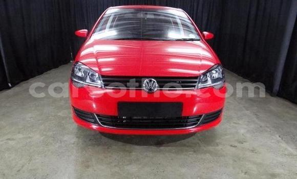Acheter Occasion Voiture Volkswagen Polo Rouge à Butha–Buthe, Thaba-Tseka Acheter Occasion Voiture Volkswagen Polo Rouge à Butha–Buthe, Thaba-Tseka