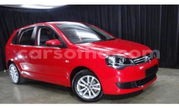 Acheter Occasion Voiture Volkswagen Polo Rouge à Butha–Buthe, Thaba-Tseka Acheter Occasion Voiture Volkswagen Polo Rouge à Butha–Buthe, Thaba-Tseka