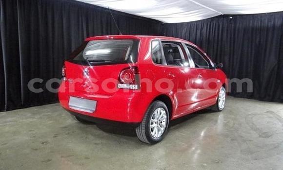 Acheter Occasion Voiture Volkswagen Polo Rouge à Butha–Buthe, Thaba-Tseka Acheter Occasion Voiture Volkswagen Polo Rouge à Butha–Buthe, Thaba-Tseka