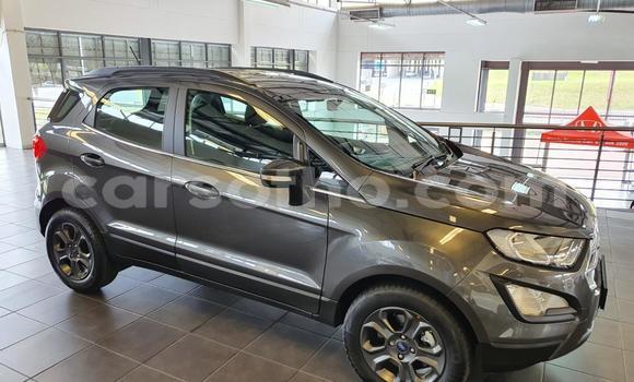 اشتري مستعمل Ford EcoSport Silver سيارة في Maseru في Maseru اشتري مستعمل Ford EcoSport Silver سيارة في Maseru في Maseru