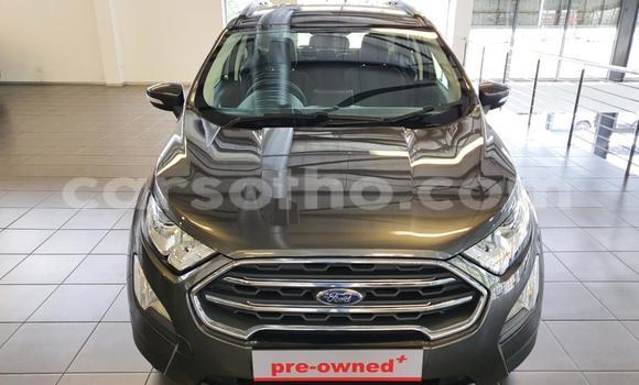 اشتري مستعمل Ford EcoSport Silver سيارة في Maseru في Maseru اشتري مستعمل Ford EcoSport Silver سيارة في Maseru في Maseru