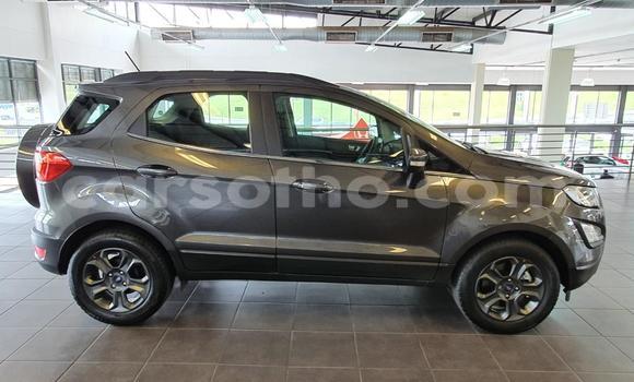 اشتري مستعمل Ford EcoSport Silver سيارة في Maseru في Maseru اشتري مستعمل Ford EcoSport Silver سيارة في Maseru في Maseru