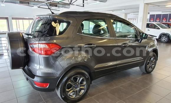 اشتري مستعمل Ford EcoSport Silver سيارة في Maseru في Maseru اشتري مستعمل Ford EcoSport Silver سيارة في Maseru في Maseru