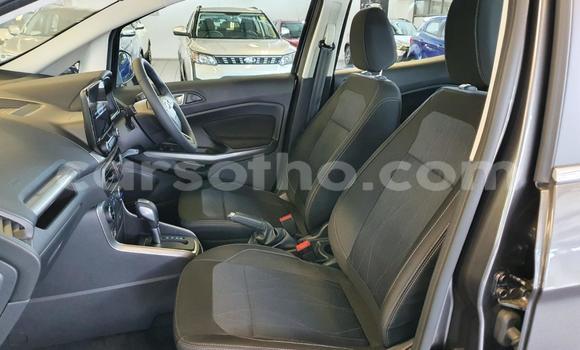 اشتري مستعمل Ford EcoSport Silver سيارة في Maseru في Maseru اشتري مستعمل Ford EcoSport Silver سيارة في Maseru في Maseru