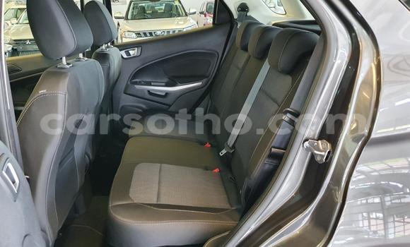اشتري مستعمل Ford EcoSport Silver سيارة في Maseru في Maseru اشتري مستعمل Ford EcoSport Silver سيارة في Maseru في Maseru