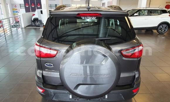 اشتري مستعمل Ford EcoSport Silver سيارة في Maseru في Maseru اشتري مستعمل Ford EcoSport Silver سيارة في Maseru في Maseru