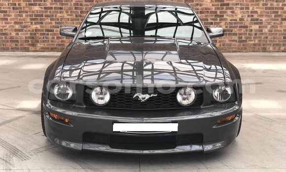 اشتري مستعمل Ford Mustang Silver سيارة في Roma في Maseru اشتري مستعمل Ford Mustang Silver سيارة في Roma في Maseru