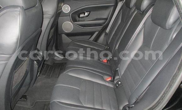 Sayi Na hannu Land Rover Range Rover Evoque Black Mota in Mokhotlong a Berea Sayi Na hannu Land Rover Range Rover Evoque Black Mota in Mokhotlong a Berea