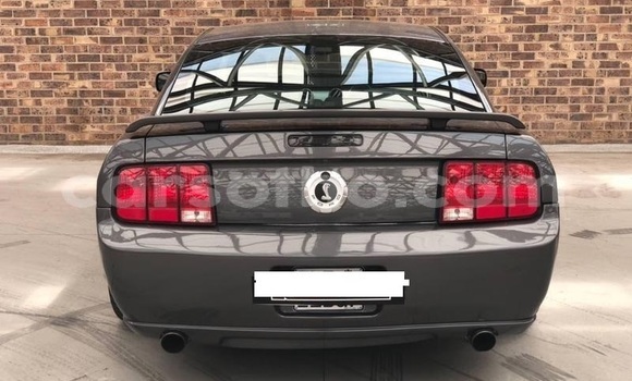 اشتري مستعمل Ford Mustang Silver سيارة في Roma في Maseru اشتري مستعمل Ford Mustang Silver سيارة في Roma في Maseru