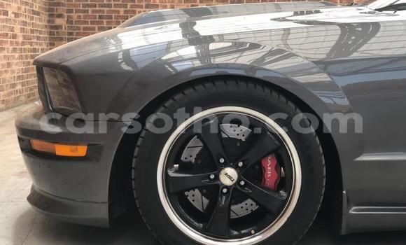 اشتري مستعمل Ford Mustang Silver سيارة في Roma في Maseru اشتري مستعمل Ford Mustang Silver سيارة في Roma في Maseru