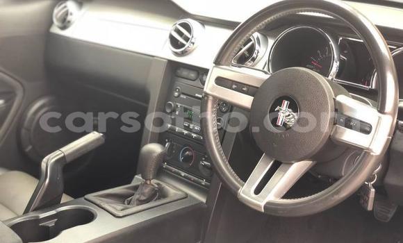 اشتري مستعمل Ford Mustang Silver سيارة في Roma في Maseru اشتري مستعمل Ford Mustang Silver سيارة في Roma في Maseru