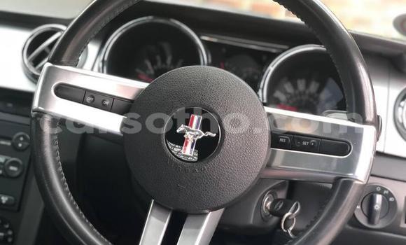 اشتري مستعمل Ford Mustang Silver سيارة في Roma في Maseru اشتري مستعمل Ford Mustang Silver سيارة في Roma في Maseru