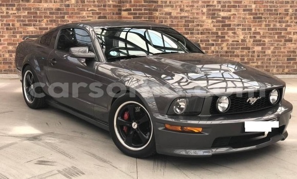 اشتري مستعمل Ford Mustang Silver سيارة في Roma في Maseru اشتري مستعمل Ford Mustang Silver سيارة في Roma في Maseru