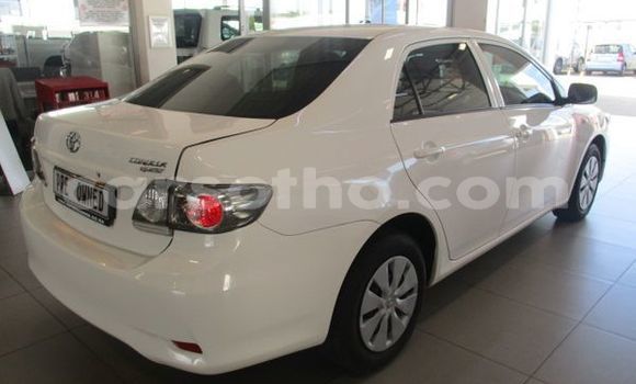 Sayi Na hannu Toyota Corolla White Mota in Butha Buthe a Butha-Buthe Sayi Na hannu Toyota Corolla White Mota in Butha Buthe a Butha-Buthe