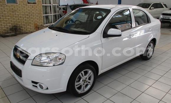Sayi Na hannu Chevrolet Aveo White Mota in Maseru a Maseru Sayi Na hannu Chevrolet Aveo White Mota in Maseru a Maseru