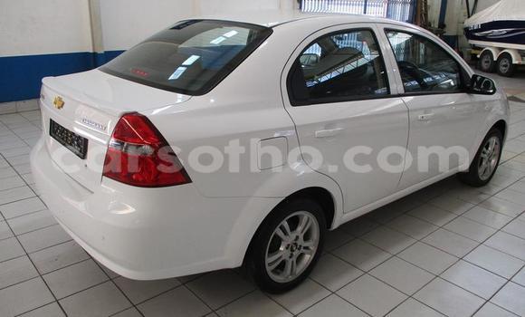 Sayi Na hannu Chevrolet Aveo White Mota in Maseru a Maseru Sayi Na hannu Chevrolet Aveo White Mota in Maseru a Maseru