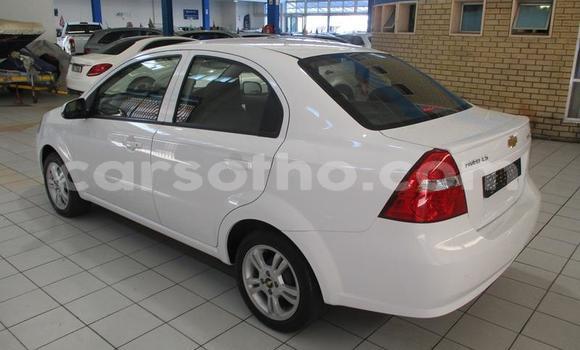 Sayi Na hannu Chevrolet Aveo White Mota in Maseru a Maseru Sayi Na hannu Chevrolet Aveo White Mota in Maseru a Maseru