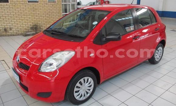 Sayi Na hannu Toyota Yaris Red Mota in Maseru a Maseru Sayi Na hannu Toyota Yaris Red Mota in Maseru a Maseru