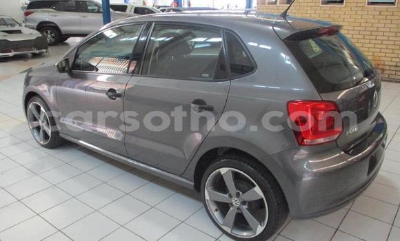 Acheter Occasion Voiture Volkswagen Polo Gris à Maseru, Maseru Acheter Occasion Voiture Volkswagen Polo Gris à Maseru, Maseru