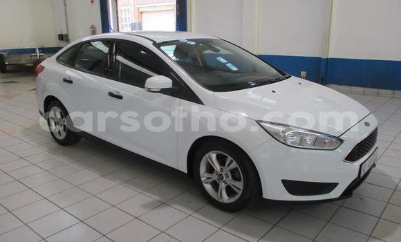 Sayi Na hannu Ford Focus White Mota in Maseru a Maseru Sayi Na hannu Ford Focus White Mota in Maseru a Maseru