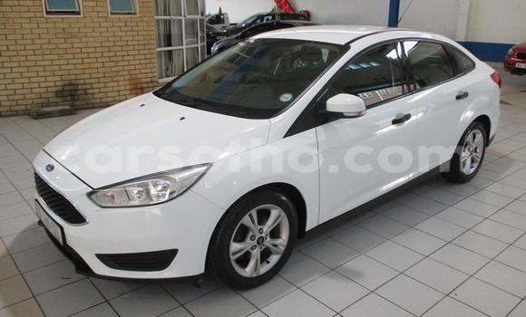 Sayi Na hannu Ford Focus White Mota in Maseru a Maseru Sayi Na hannu Ford Focus White Mota in Maseru a Maseru