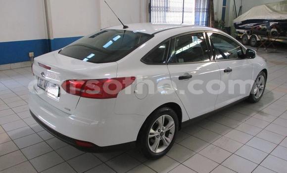 Sayi Na hannu Ford Focus White Mota in Maseru a Maseru Sayi Na hannu Ford Focus White Mota in Maseru a Maseru
