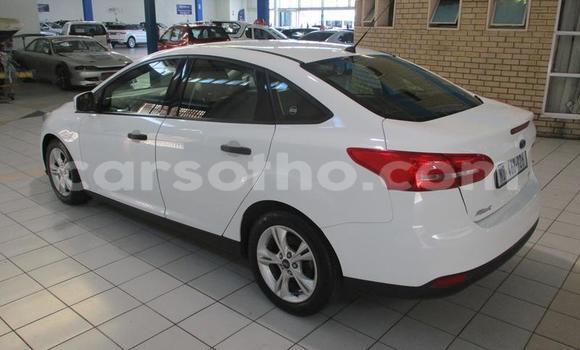 Sayi Na hannu Ford Focus White Mota in Maseru a Maseru Sayi Na hannu Ford Focus White Mota in Maseru a Maseru