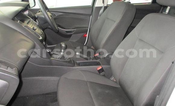 Sayi Na hannu Ford Focus White Mota in Maseru a Maseru Sayi Na hannu Ford Focus White Mota in Maseru a Maseru