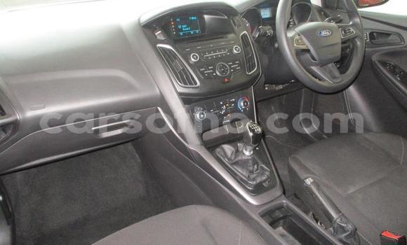 Sayi Na hannu Ford Focus White Mota in Maseru a Maseru Sayi Na hannu Ford Focus White Mota in Maseru a Maseru