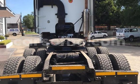 اشتري مستعمل Caterpillar 120 White شاحنة في Maseru في Maseru اشتري مستعمل Caterpillar 120 White شاحنة في Maseru في Maseru