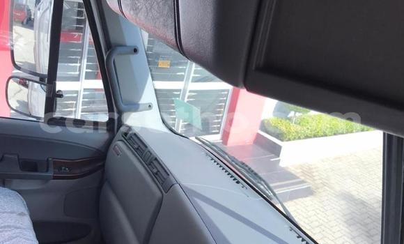 اشتري مستعمل Caterpillar 120 White شاحنة في Maseru في Maseru اشتري مستعمل Caterpillar 120 White شاحنة في Maseru في Maseru