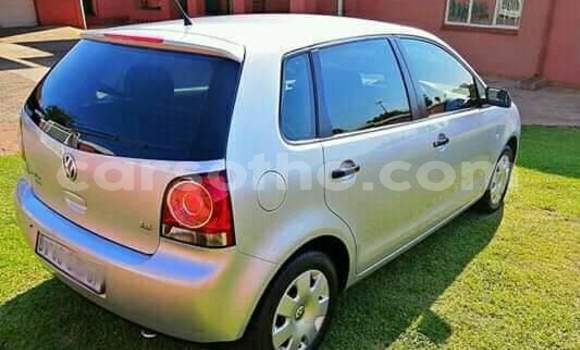 Buy Used Volkswagen Polo Beige Car in Hlotse in Leribe Buy Used Volkswagen Polo Beige Car in Hlotse in Leribe