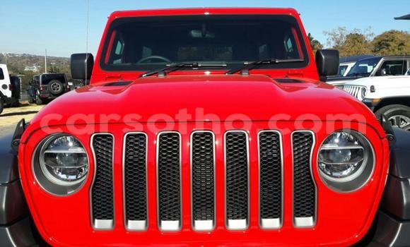 اشتري مستعمل Jeep Wrangler Red سيارة في Maseru في Maseru اشتري مستعمل Jeep Wrangler Red سيارة في Maseru في Maseru