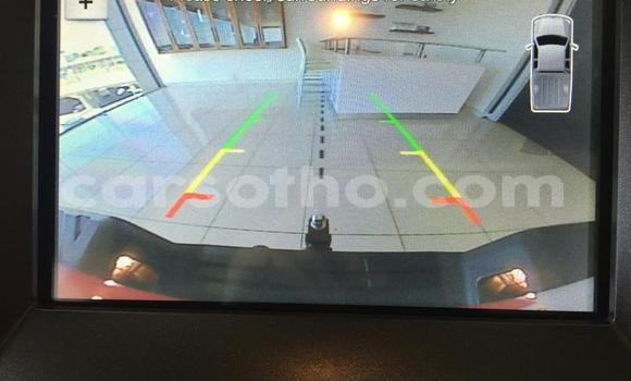 اشتري مستعمل Ford Ranger Red سيارة في Maseru في Maseru اشتري مستعمل Ford Ranger Red سيارة في Maseru في Maseru